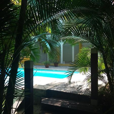 Chambre D'Hote Et Loft Dans Maison De Charme Piscine A Debordement La Villa Gialla ชูลแชร์ ภายนอก รูปภาพ