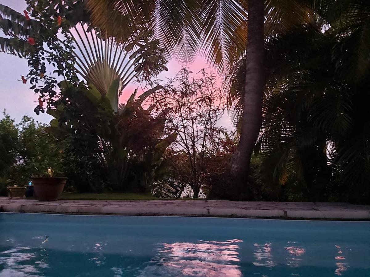 Chambre D'Hote Et Loft Dans Maison De Charme Piscine A Debordement La Villa Gialla ชูลแชร์ ภายนอก รูปภาพ